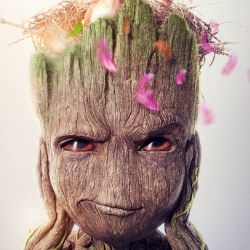 Иконка канала Groot 's channel