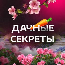 Иконка канала Дачные секреты