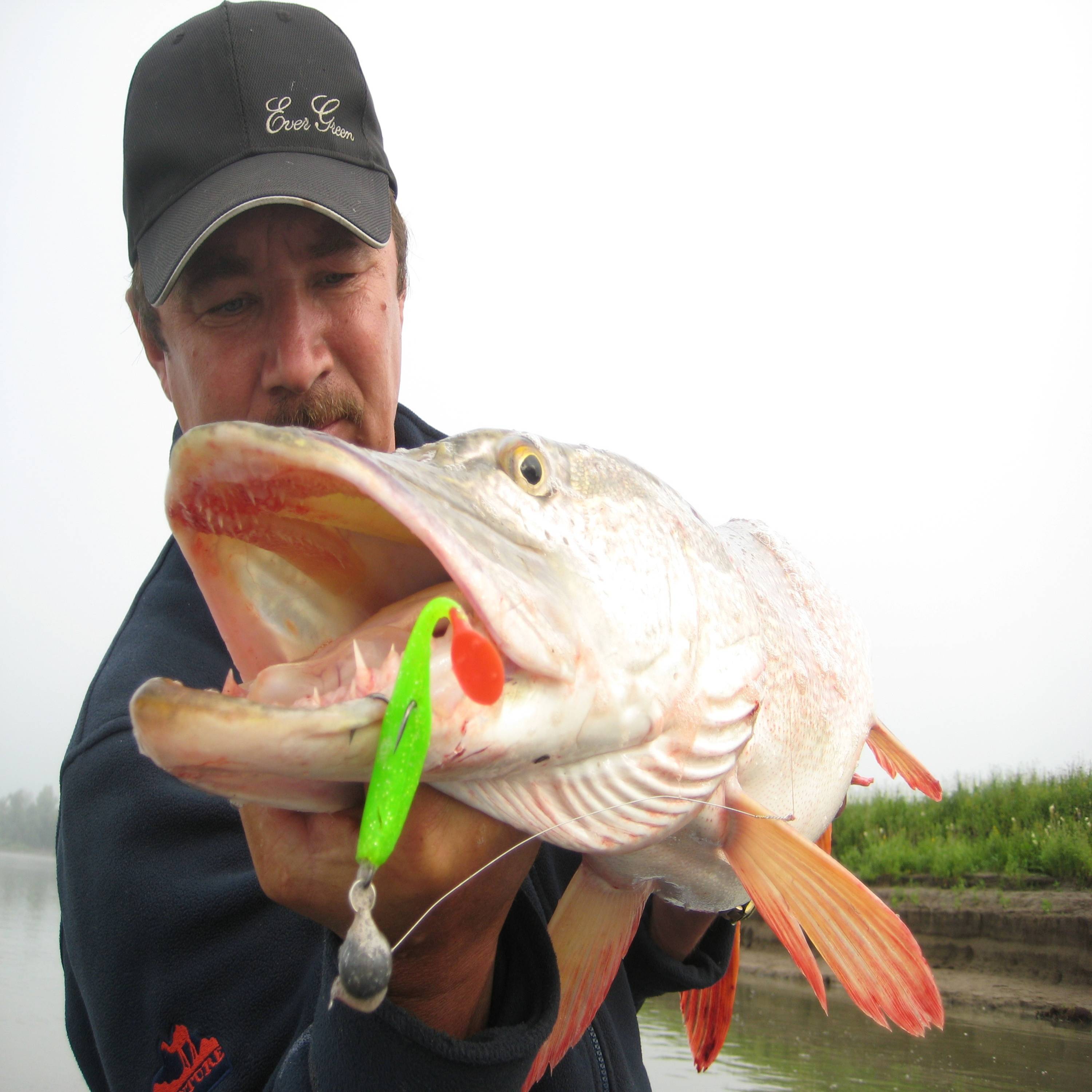 Иконка канала На речном берегу