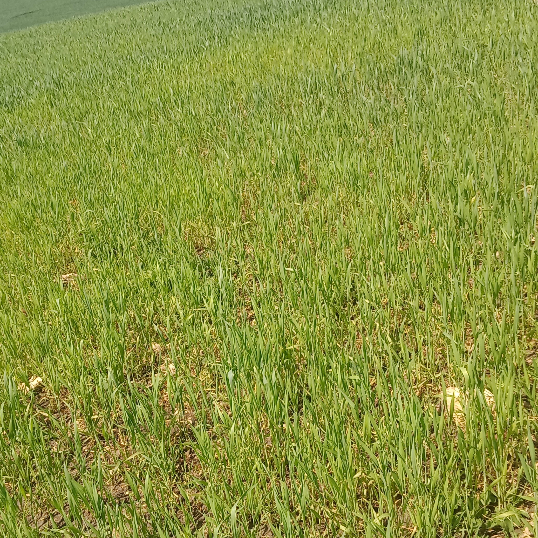 Иконка канала Ярик мото