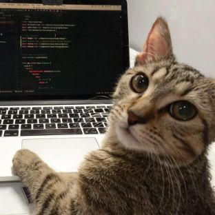 Иконка канала Ёшкин - Кошкин