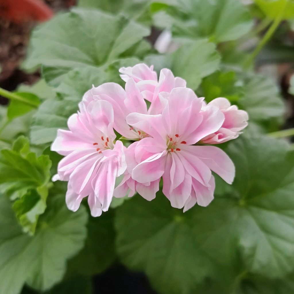 Иконка канала Не просто Ольга