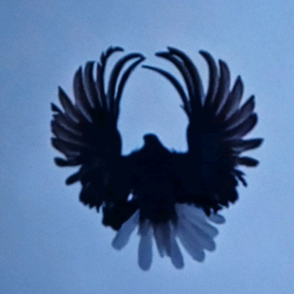 Иконка канала Мои Голуби