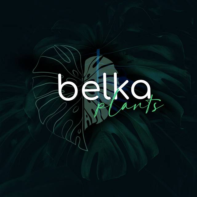 Иконка канала Belka_Plants 🍀