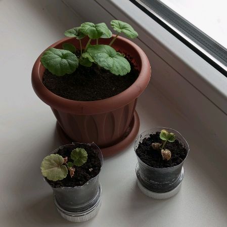 Иконка канала channel40113573