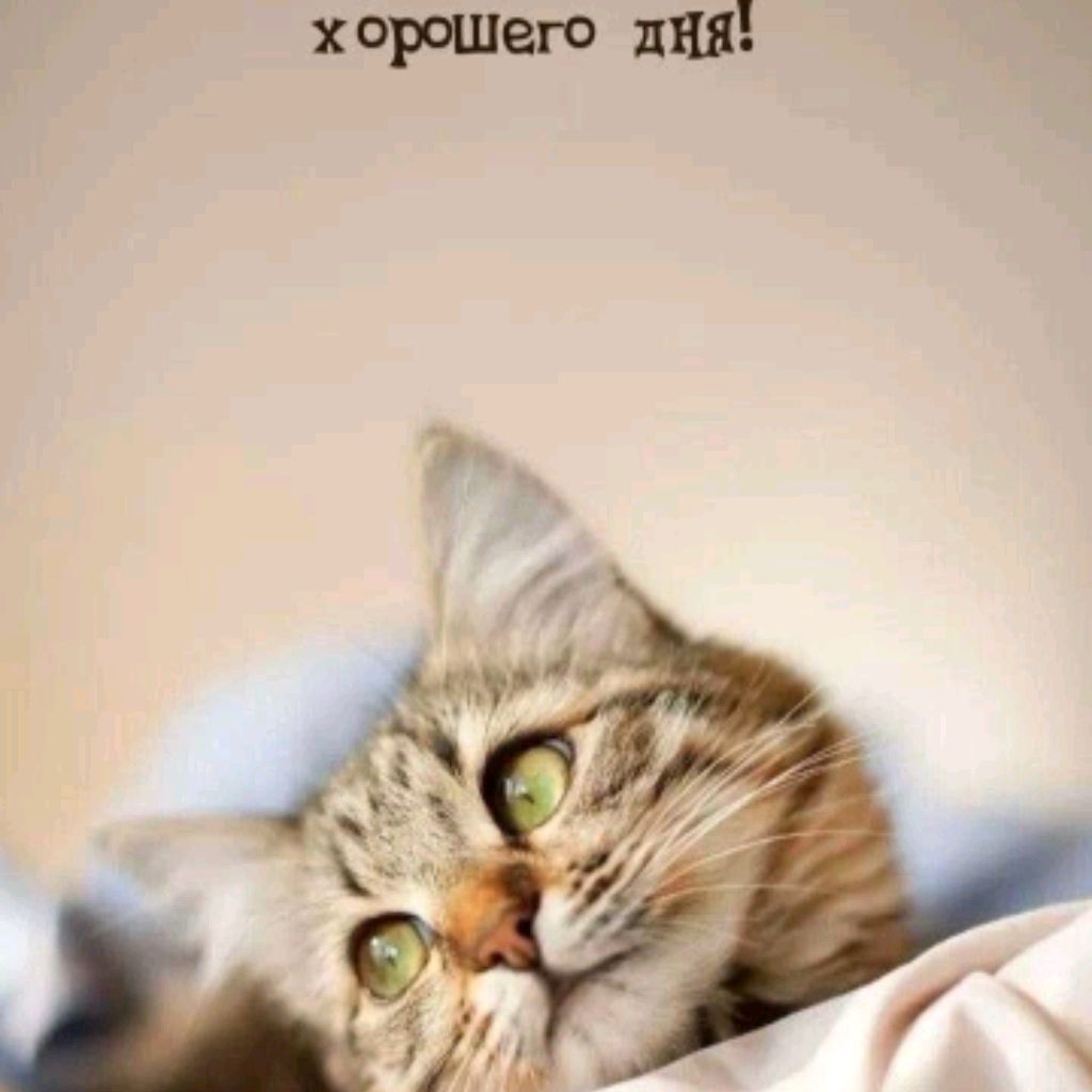 Иконка канала Oliviya