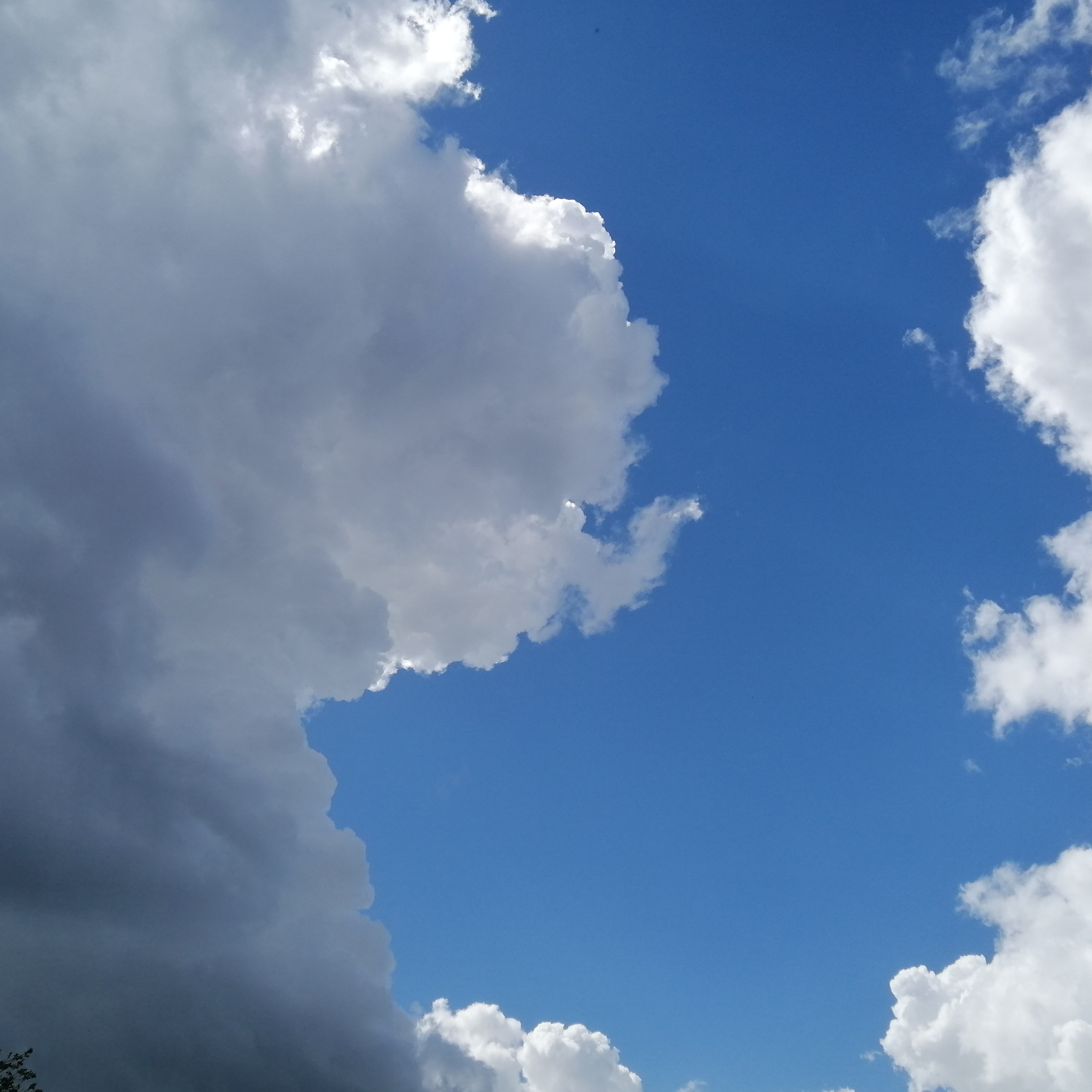 Иконка канала ЗВЕРСКИЙ СТЕНДАП | Топ-1 по Смеху