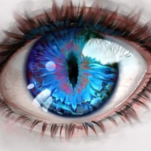 Иконка канала Это надо видеть 89603526753 сбербанк поддержите