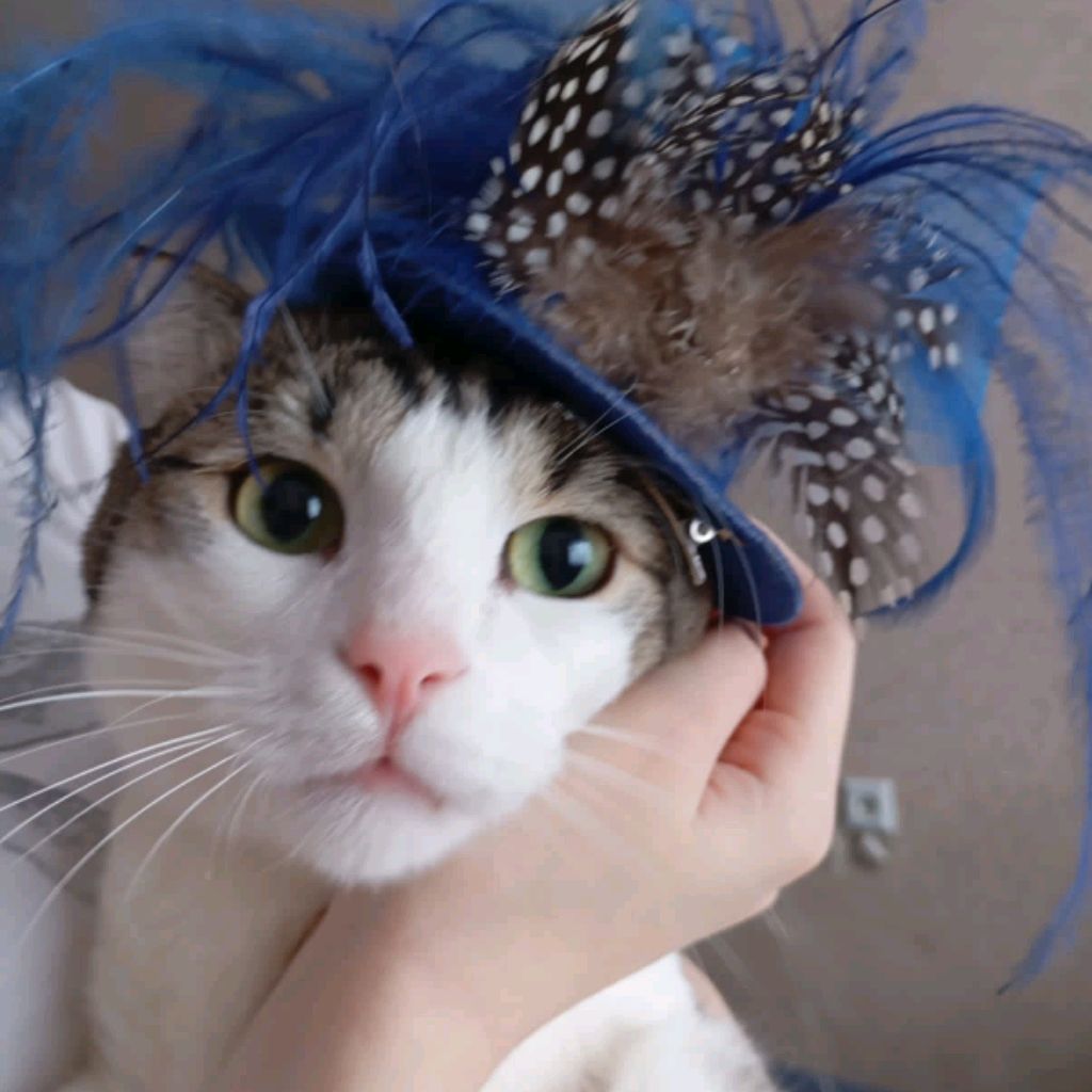 Иконка канала channel34640511