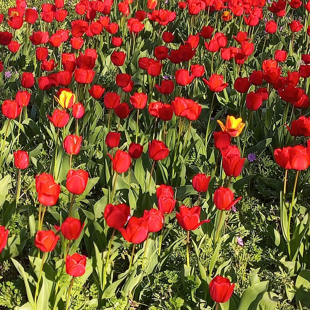 Иконка канала Крым-Керчь-Крым