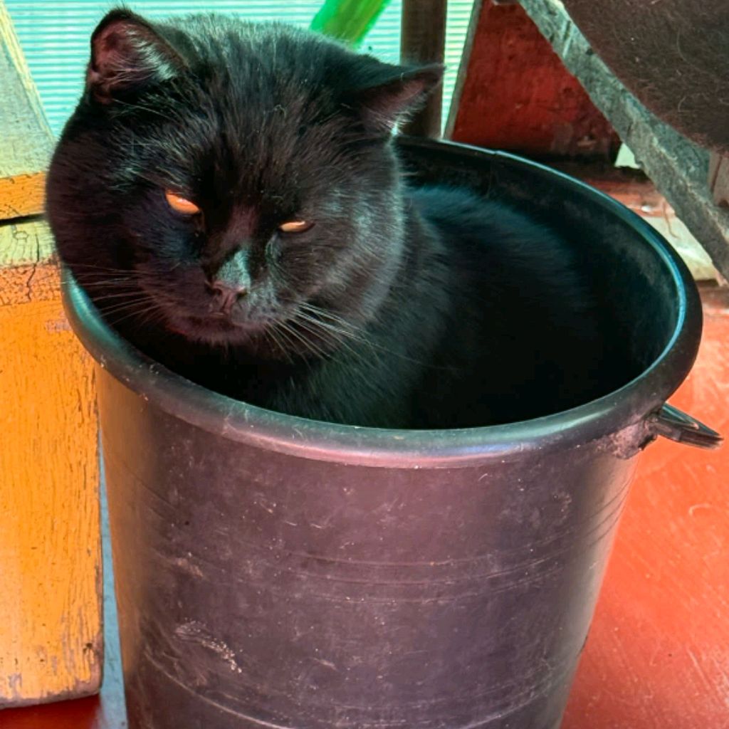 Иконка канала Коженкова Дана