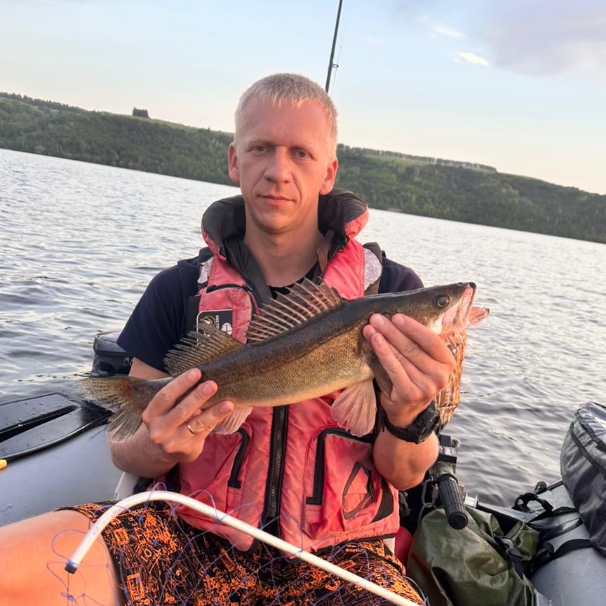 Иконка канала Korm-life