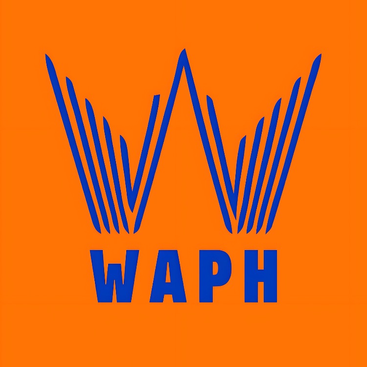 Иконка канала Обзоры китайских авто 2025 | WAPH