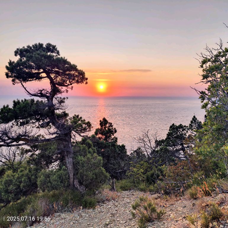 Иконка канала ЖК Кипарис: Жизнь в Сукко́ и за его пределами