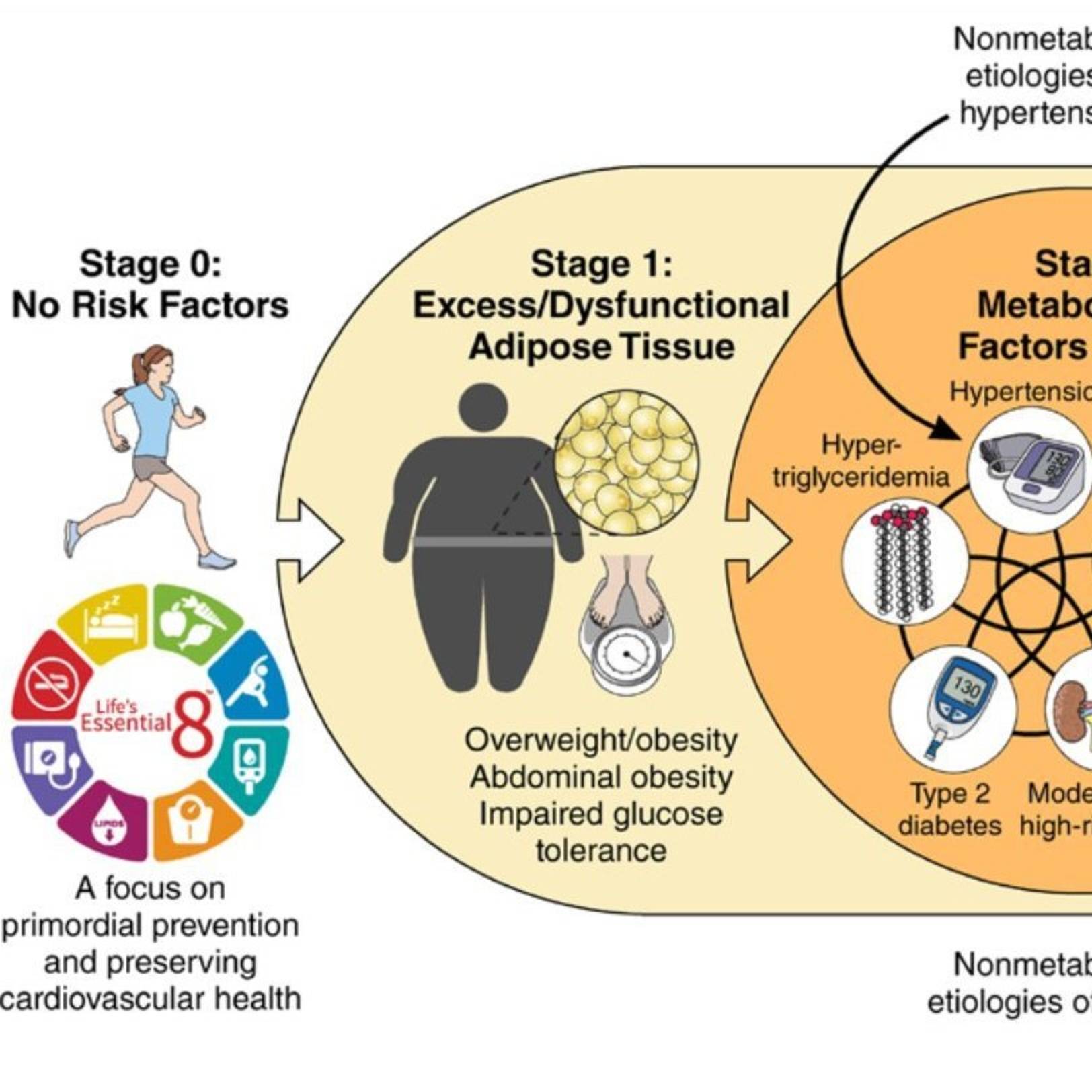 Иконка канала КардиоРеноГепатоМетабология