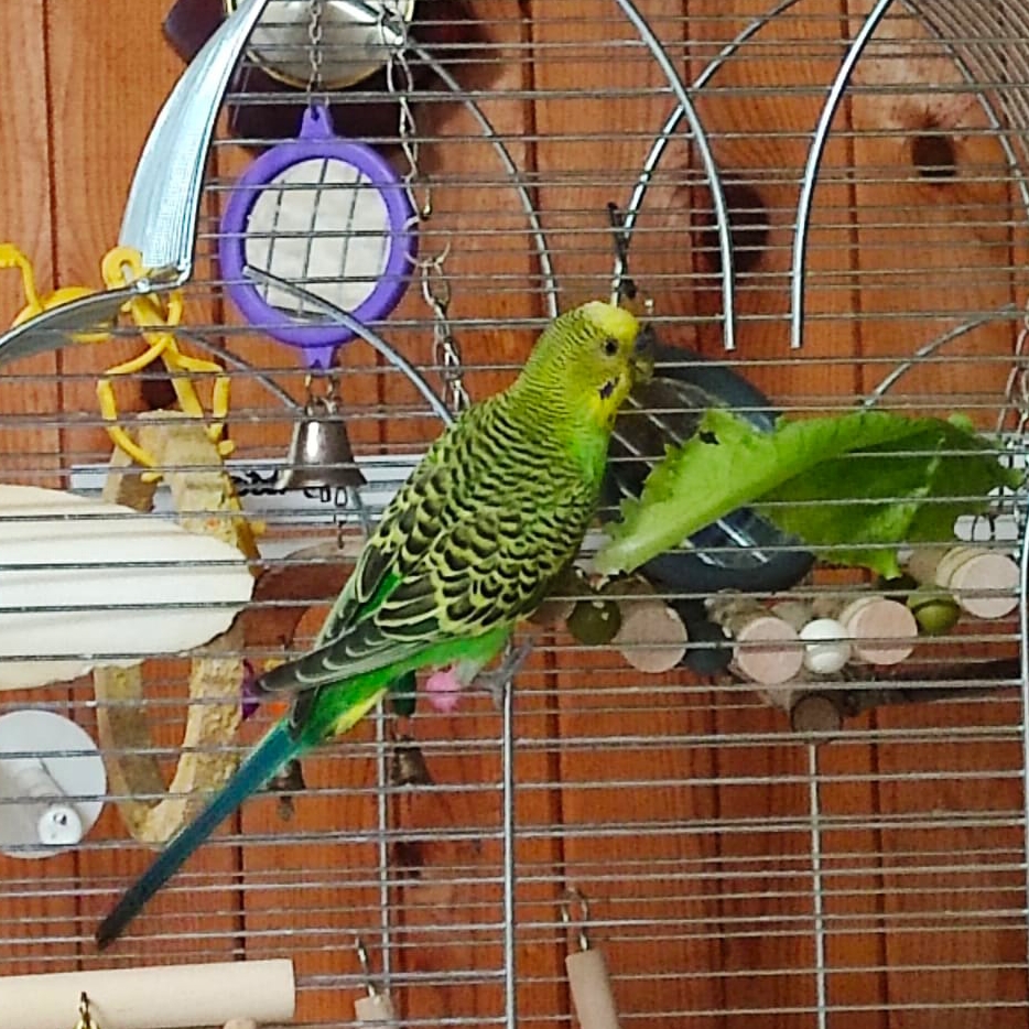 Иконка канала Звери и приключения