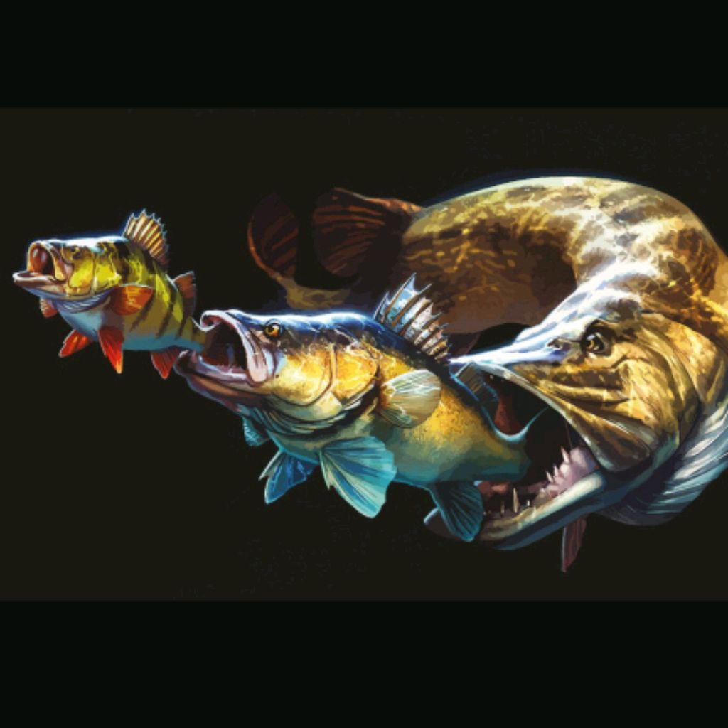 Иконка канала Fishing and hobbies