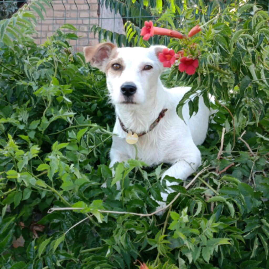 Иконка канала Дени,он же Дениска,Денёк,Денчик,Денча,Деня и т.д.