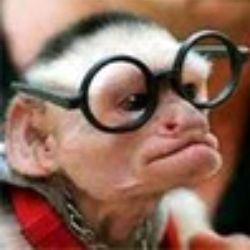 Иконка канала MoksIce