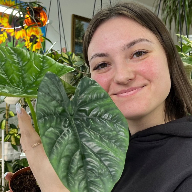 Иконка канала ФЛОРАЛ ФЭШН | Светлана Сметанина