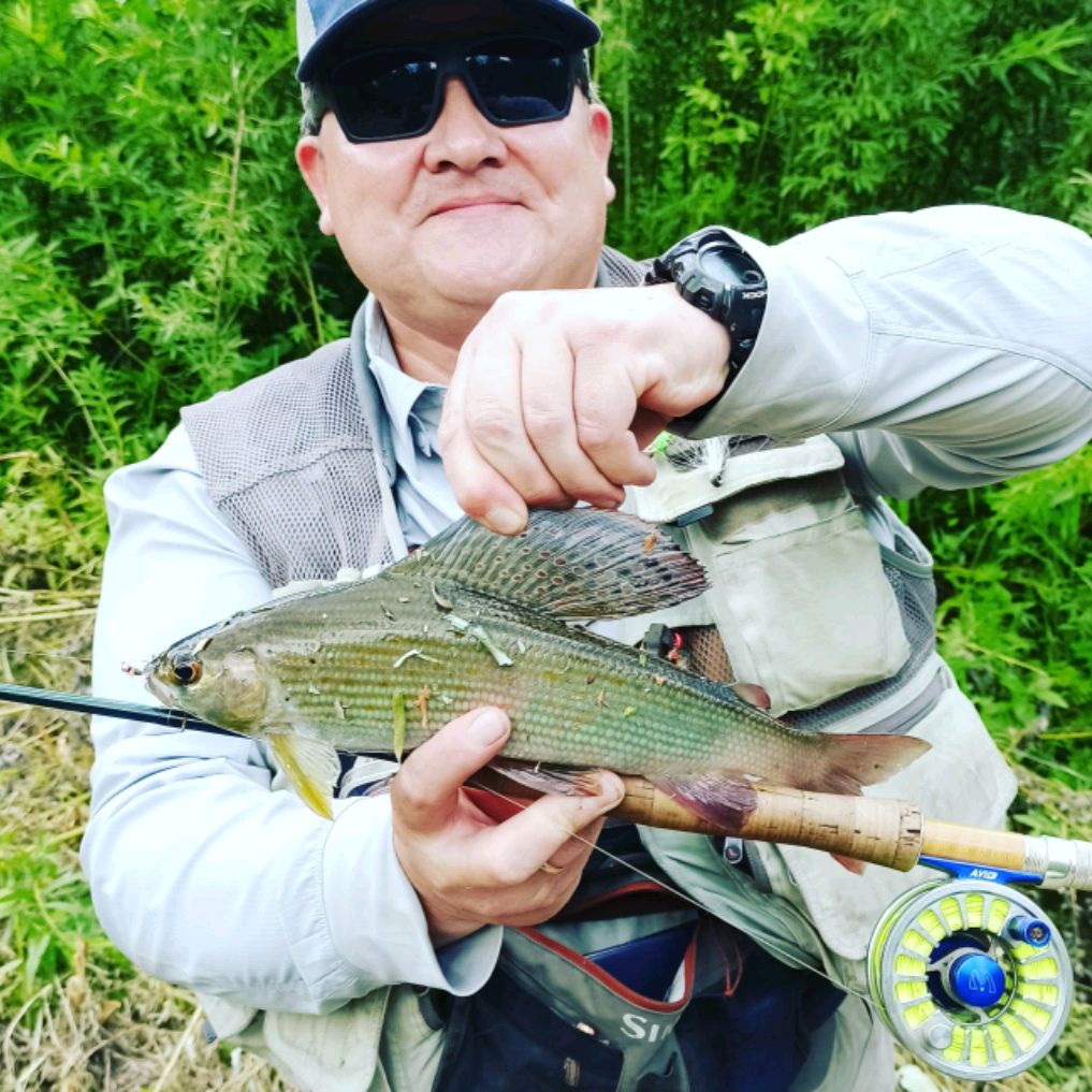 Иконка канала mih1969