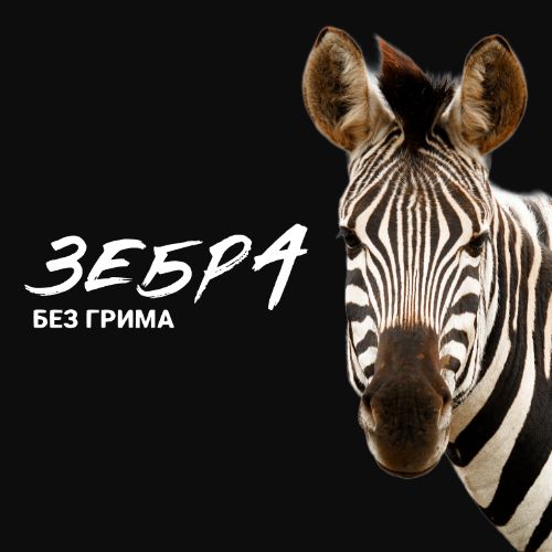 Иконка канала Подкаст "Зебра без грима"