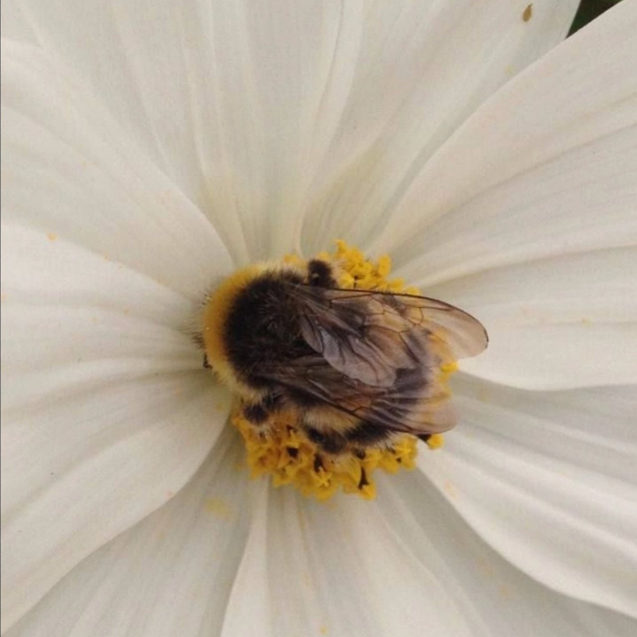 Иконка канала Майранова Карина