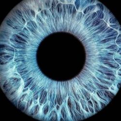 Иконка канала ПРОВСЁ