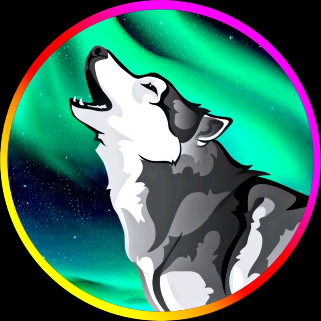 Иконка канала Alaska Stars💫