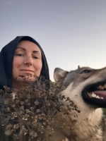 Иконка канала ФЕРМА