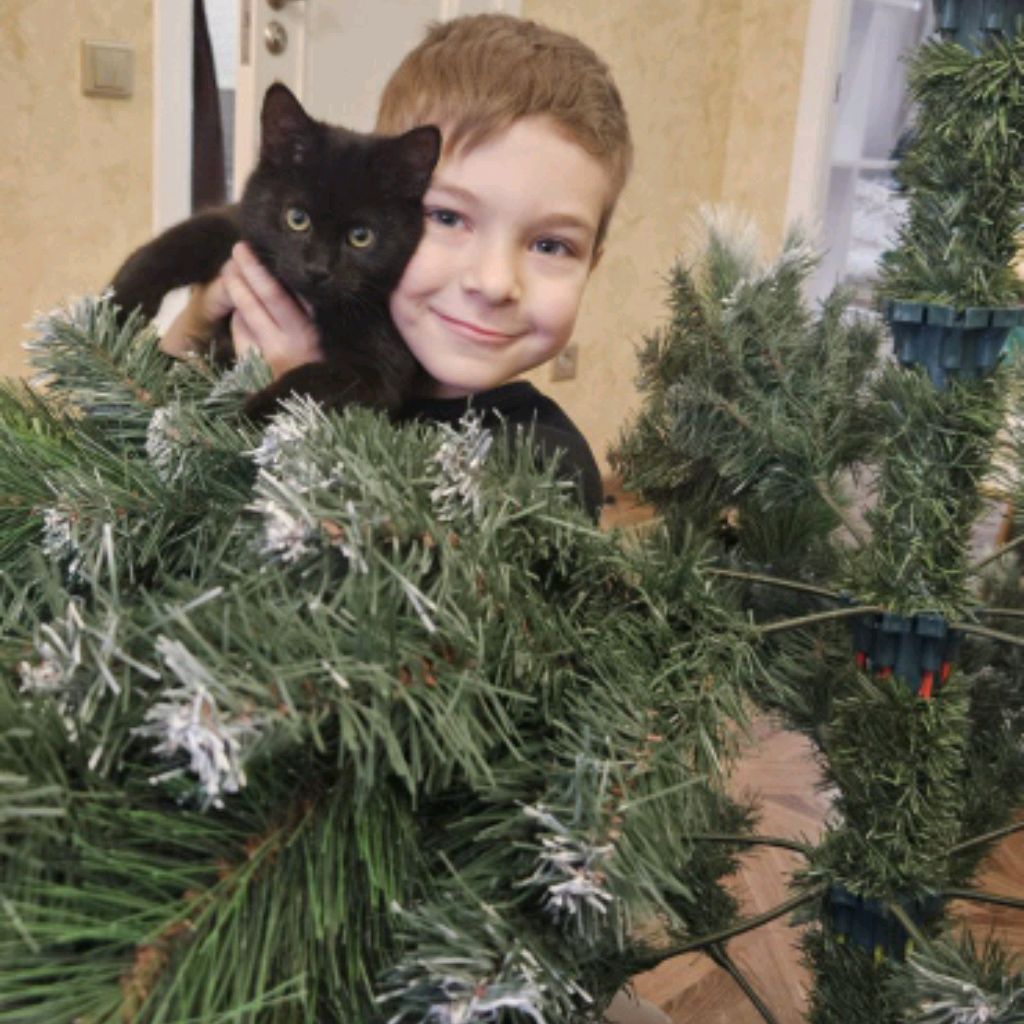 Иконка канала Серёжа и его любимый кот Салем. 🥇