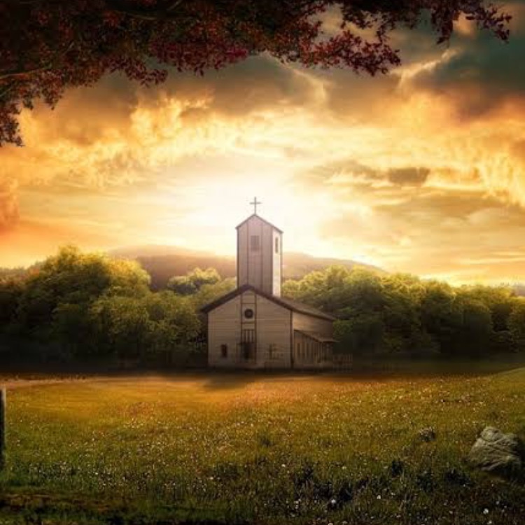 Иконка канала prikol_vine