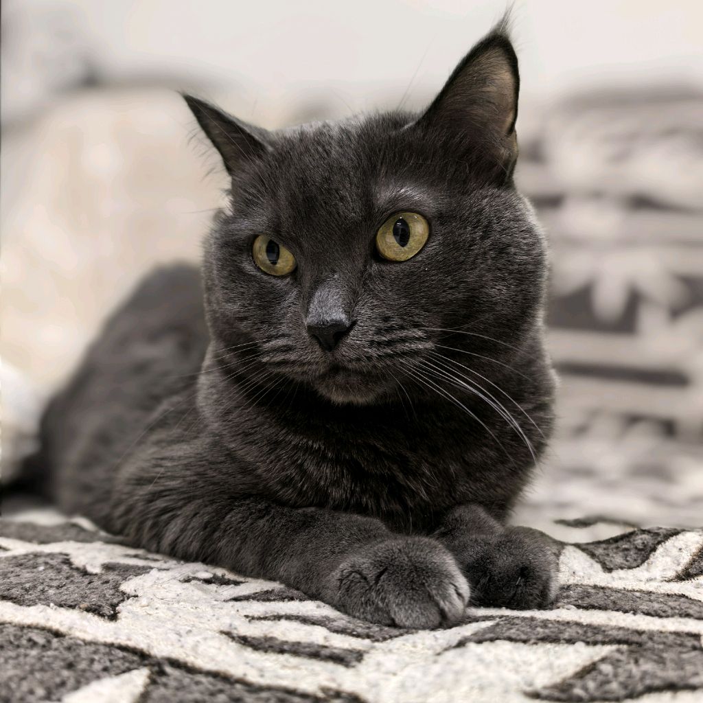 Иконка канала Takaiakakvse 🤔😊😉