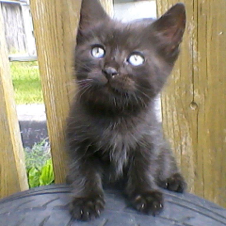 Иконка канала Тихон А52