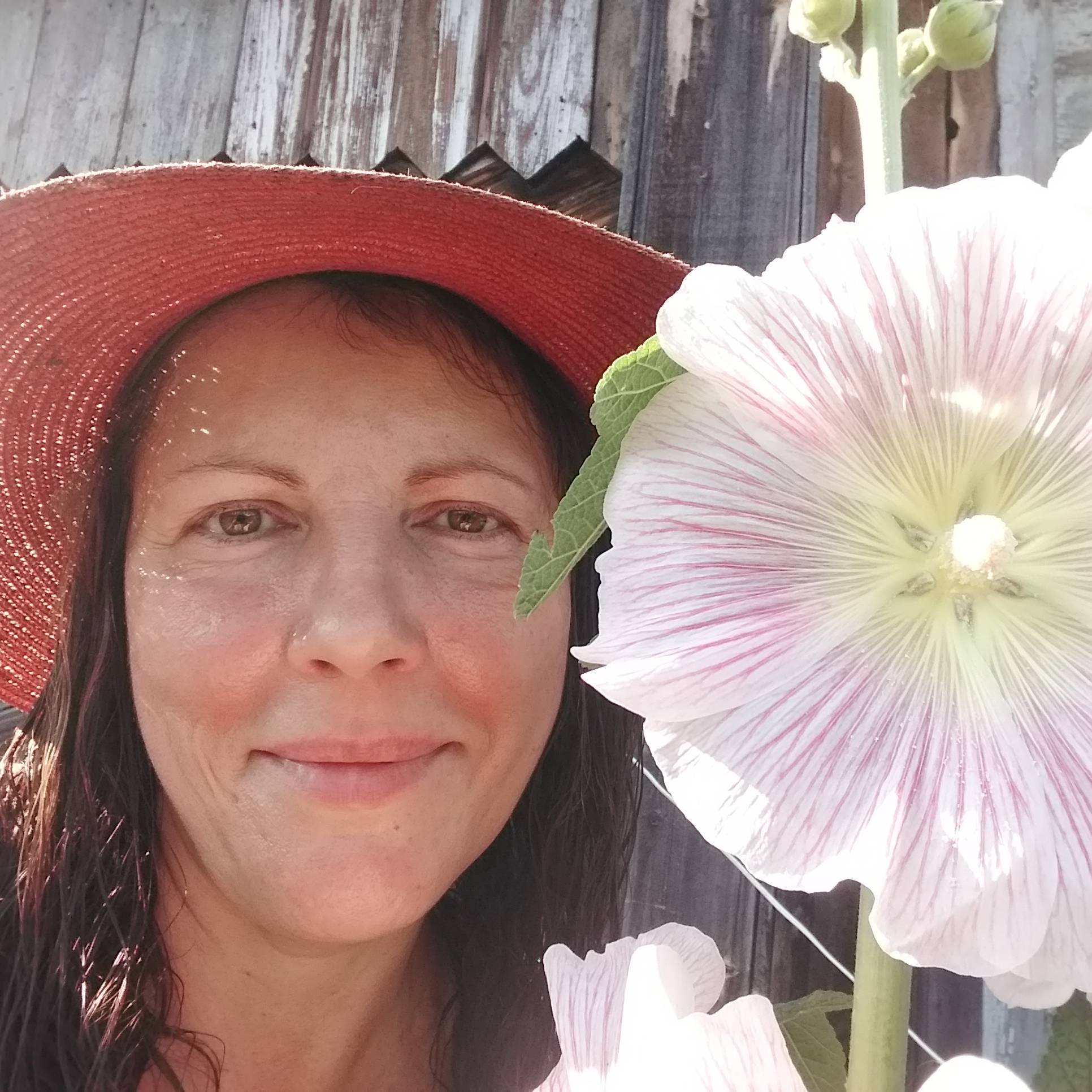 Иконка канала Сбылась мечта