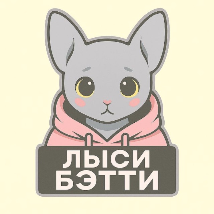 Иконка канала ЛЫСИ БЭТТИ