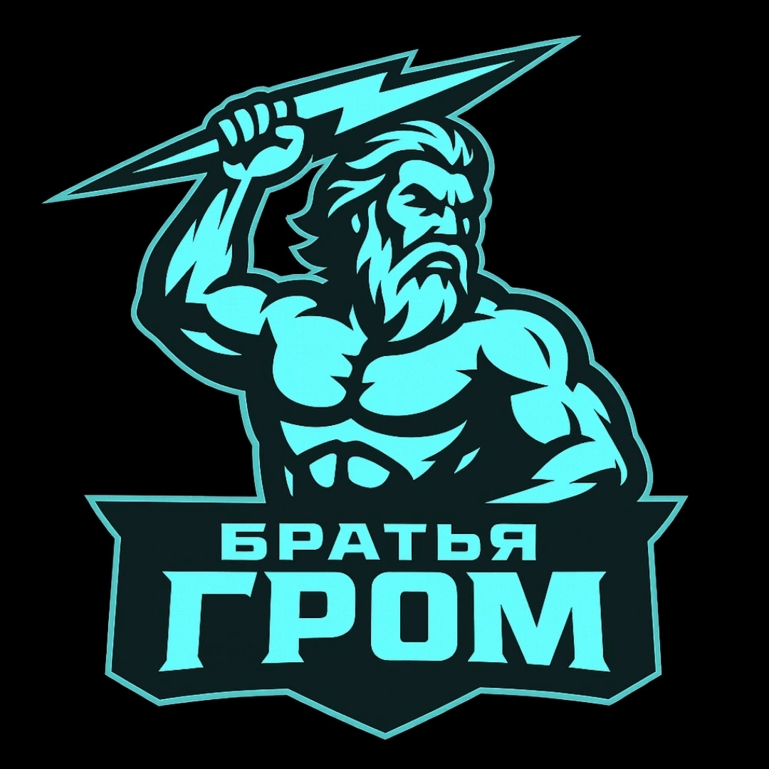 Иконка канала Братья ГРОМ