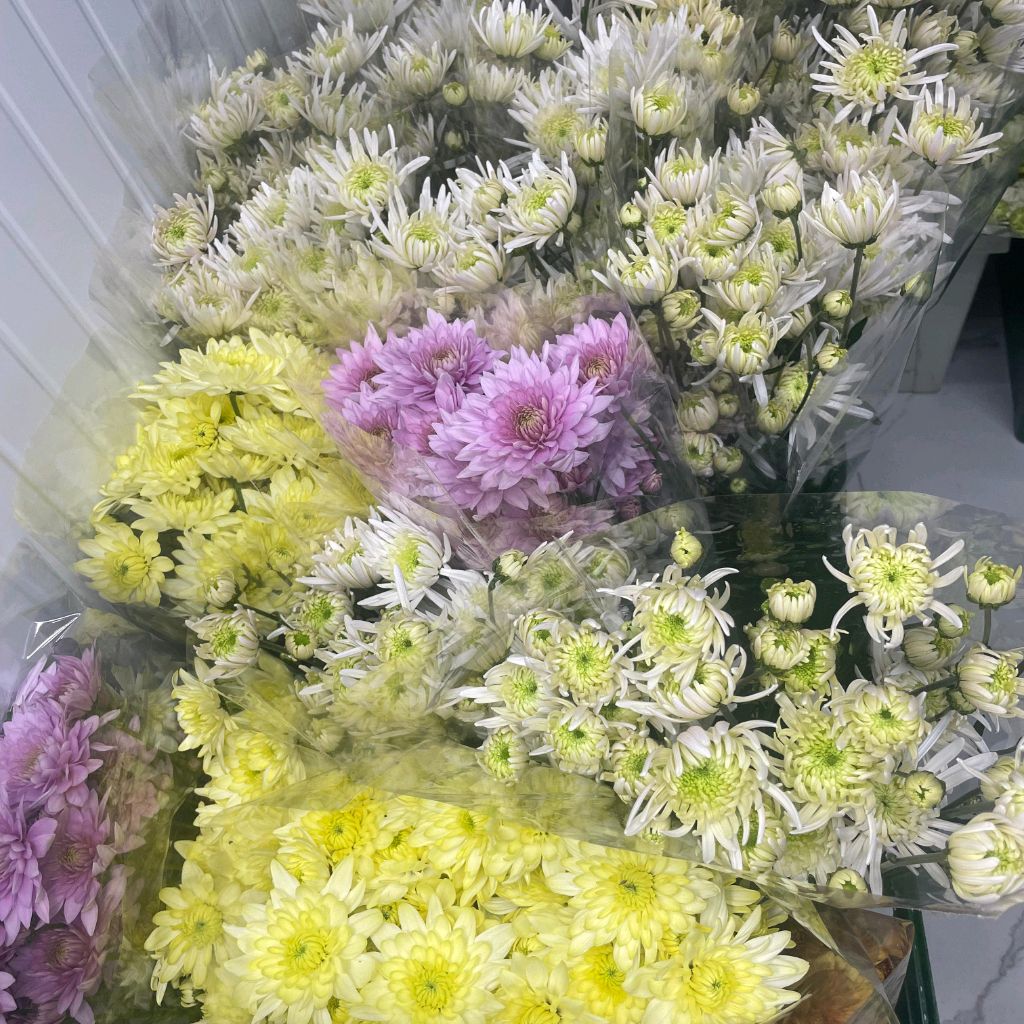 Иконка канала https://home.strannik-j.org/channel/Родина