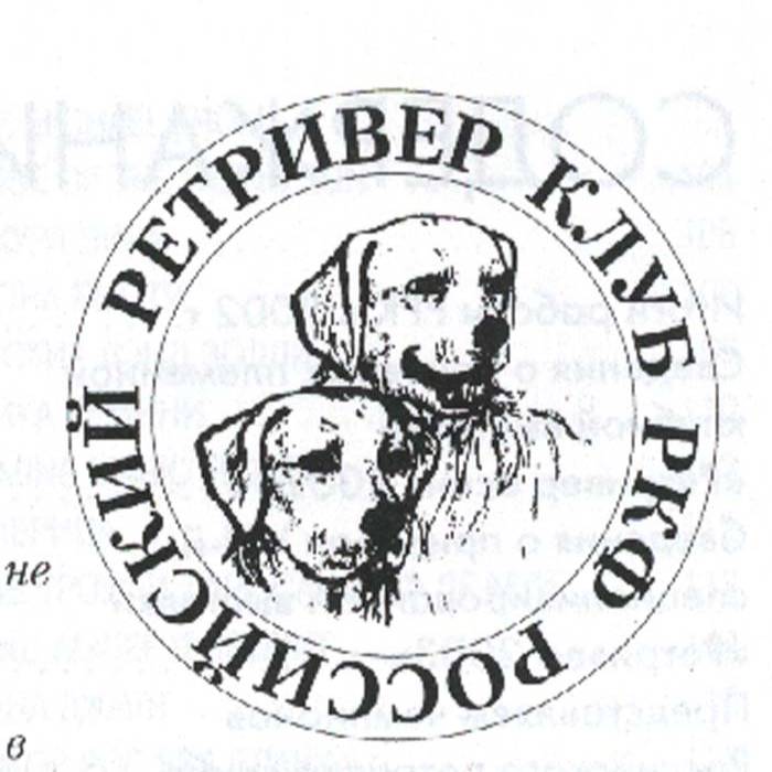 Иконка канала channel65321337