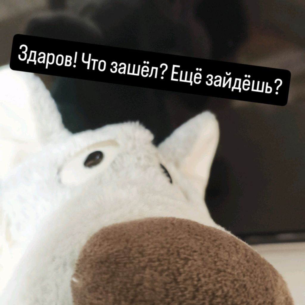 Иконка канала ✅Волк✅