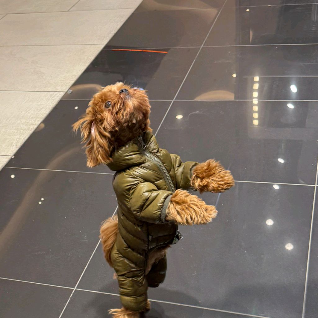 Иконка канала Julietta