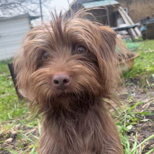 Иконка канала Релакс Смех