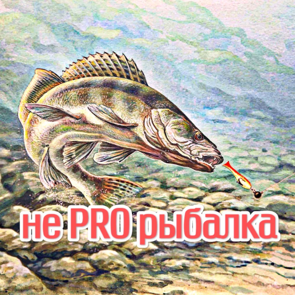 Иконка канала неPROрыбалка