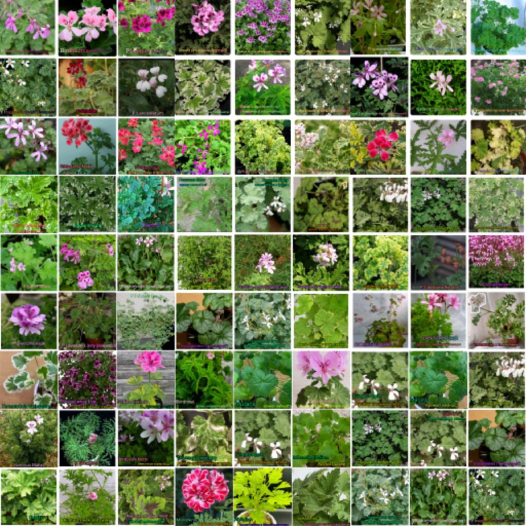 Иконка канала АроматнаяКрасота