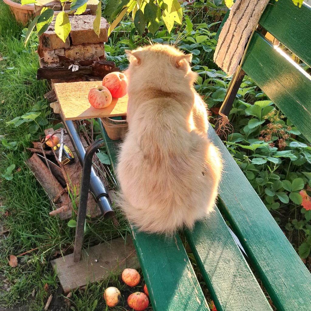 Иконка канала Татьяна К. 😘