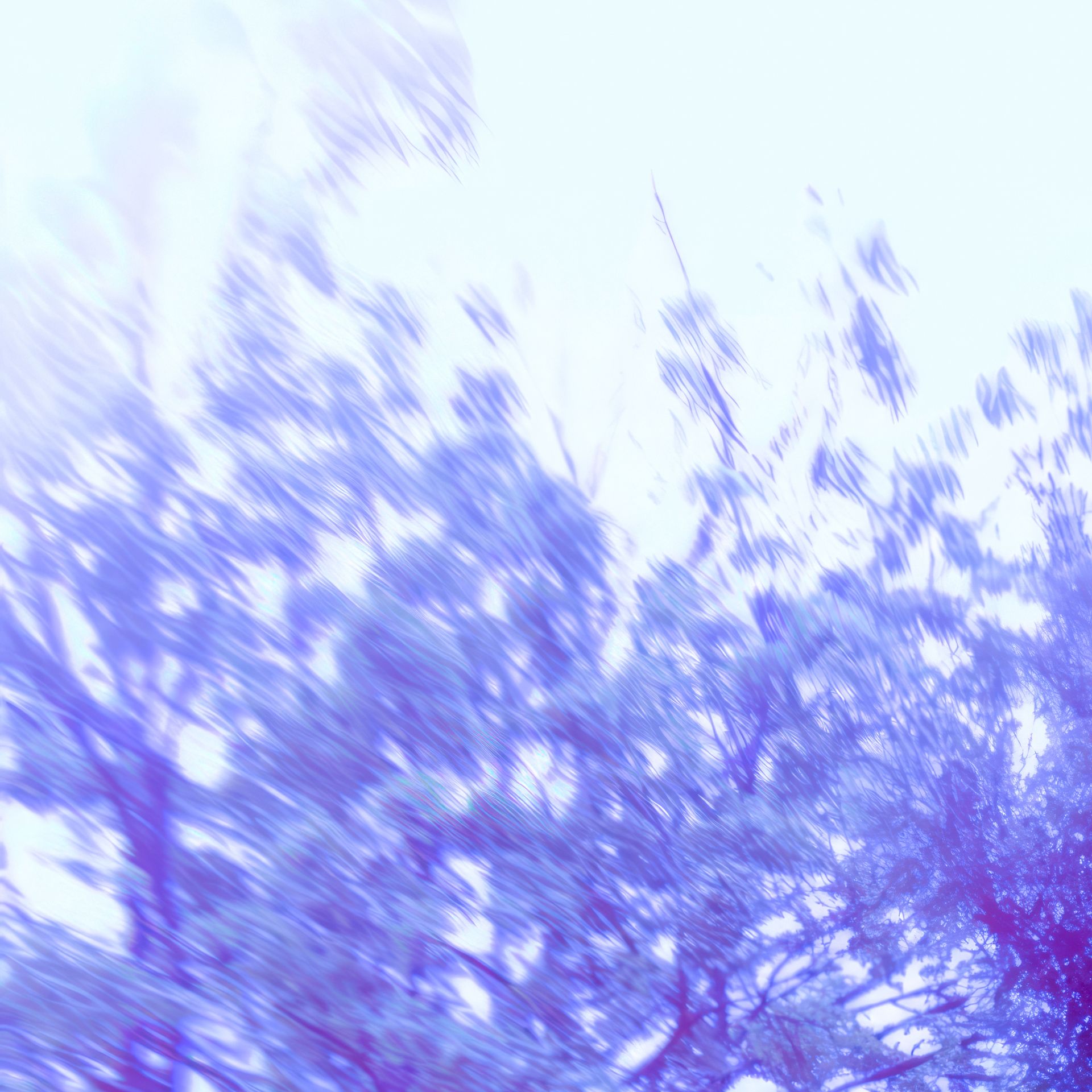 Иконка канала Плейлист дня