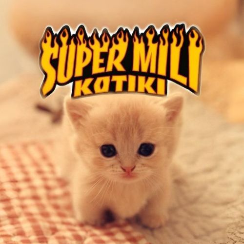Иконка канала @supermilikotiki