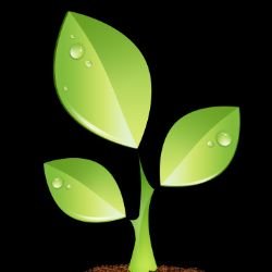 Иконка канала Pitomnik21.ru Михаила Андреева