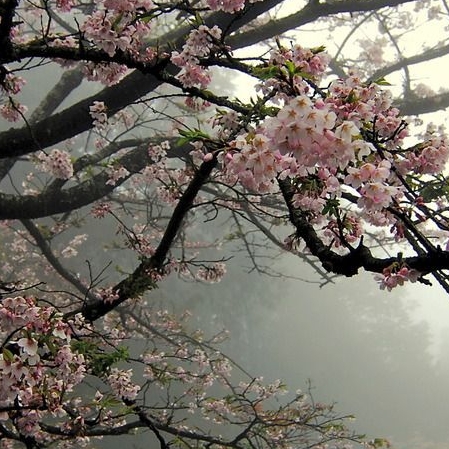 Иконка канала шоколадка💋🪻