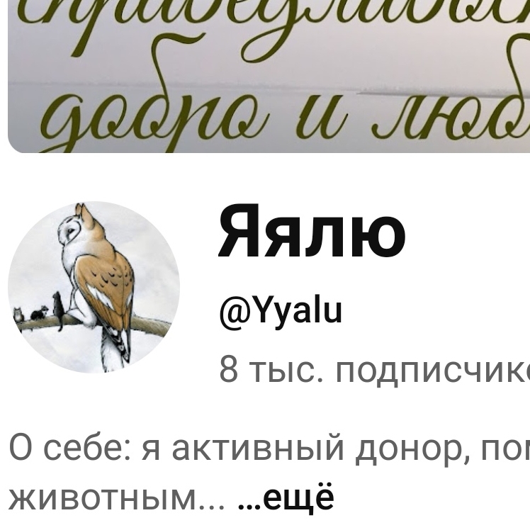 Иконка канала Яялю